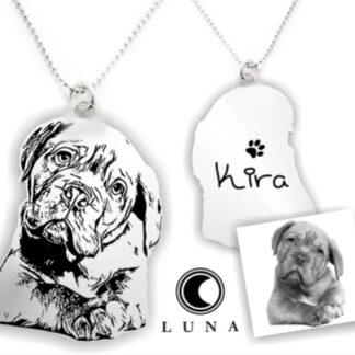 Collana cane/gatto